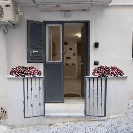 Concordia House Centro Storico Apartment Naples Exterior photo